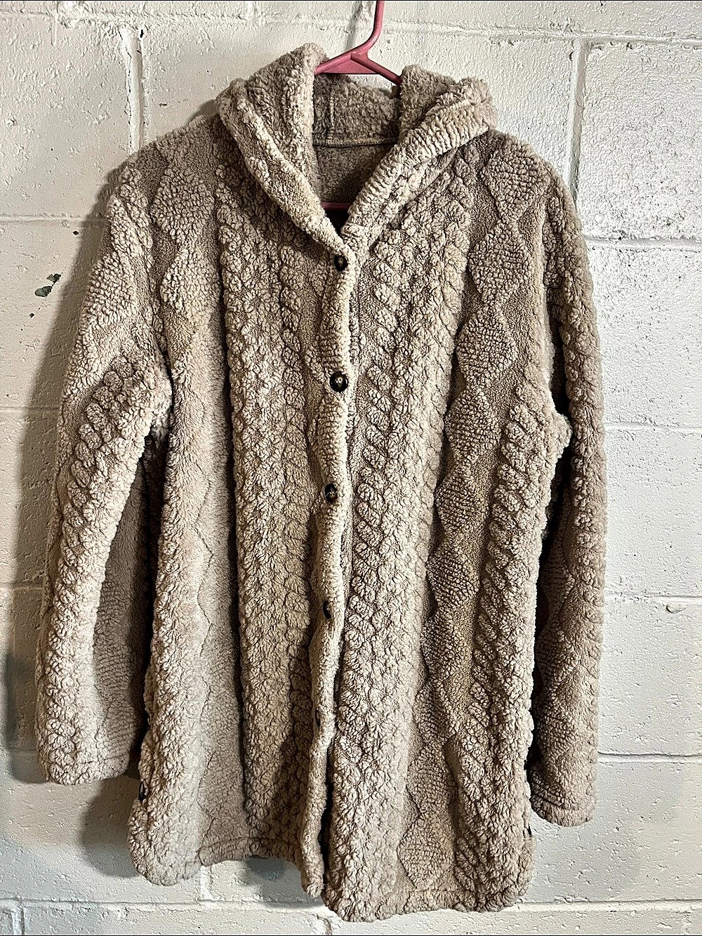 Women's Beige Teddy Hooded Coat - Picture 1 of 6